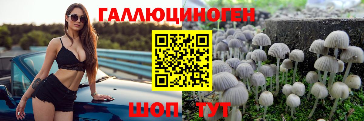 Псилоцибиновые грибы Magic Shrooms  купить   Вход с VPN  Тара  Галлюциногенные грибы MAGIC MUSHROOMS 